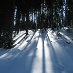Schneemann * Hohegeiß