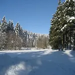 Schneemann Hohegeiß
