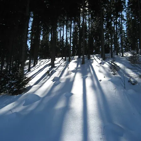 Schneemann * Hohegeiß