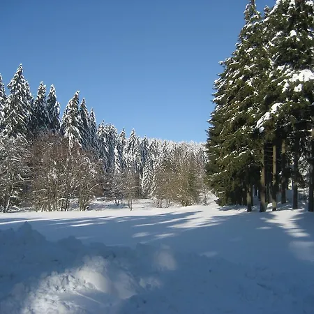 Schneemann Hohegeiß