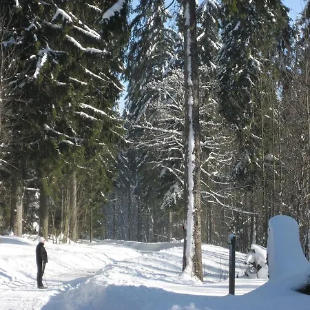 Apartmán Schneemann *