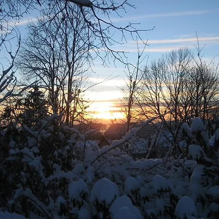 公寓 Schneemann Hohegeiß