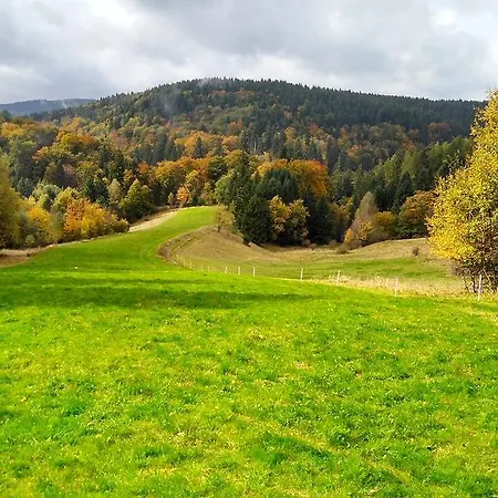 Apartmán Schneemann