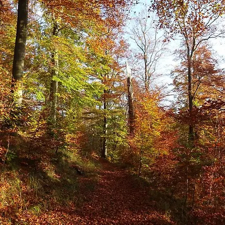 Schneemann * Hohegeiß