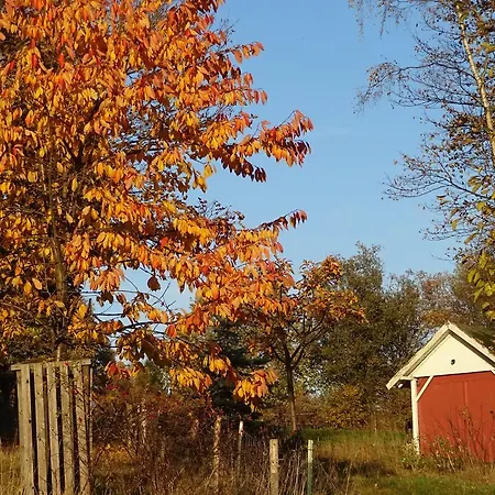 Schneemann Apartmán