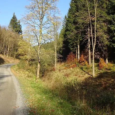 Schneemann Apartmán *