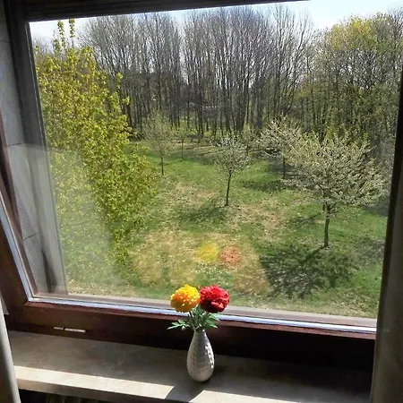Schneemann Hohegeiß