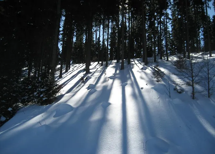 Schneemann * Hohegeiß