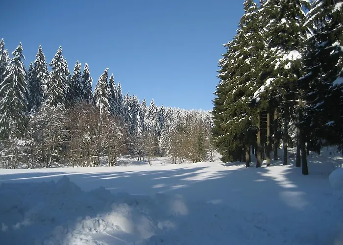 Schneemann Hohegeiß