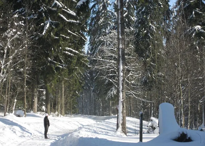 Appartement Schneemann *