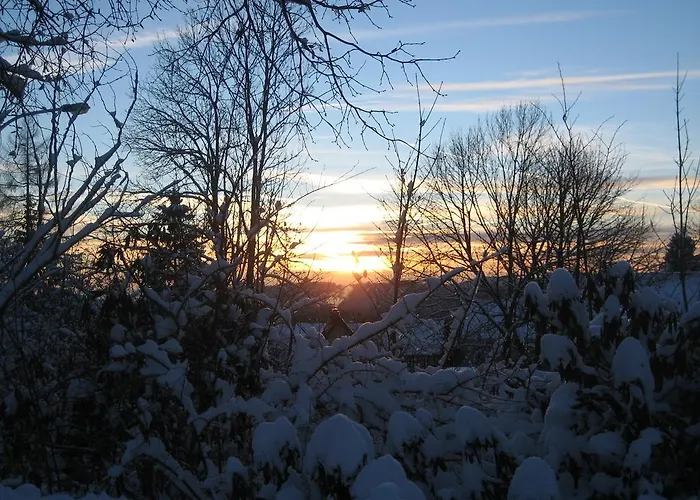 Appartement Schneemann Hohegeiß