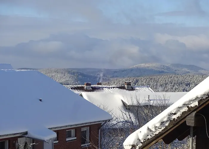 Appartement Schneemann *