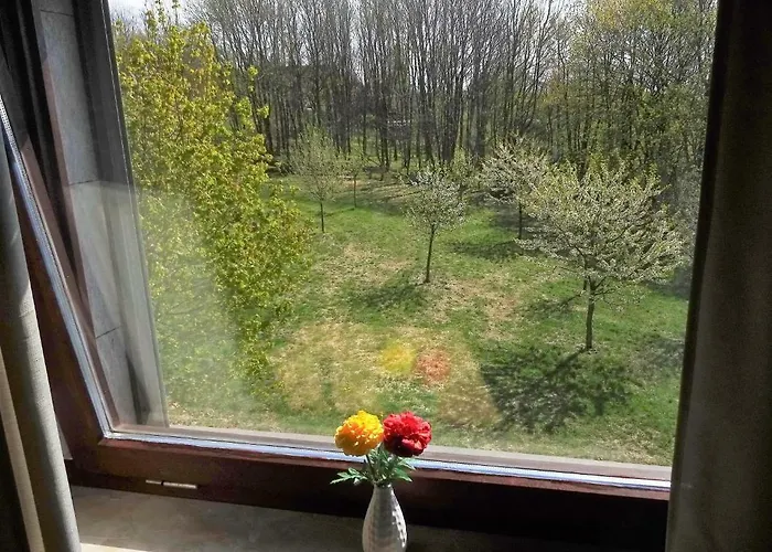 Schneemann Hohegeiß